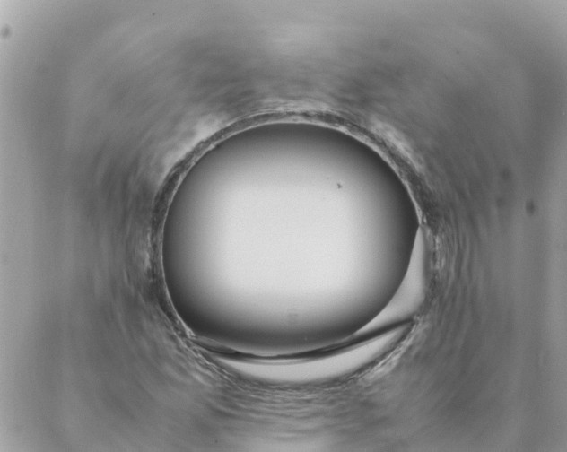 X0000087391165200705042003