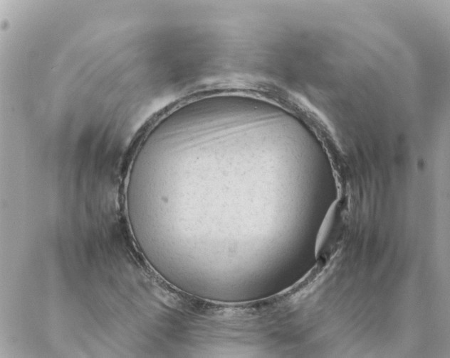 X0000087391166200705042003