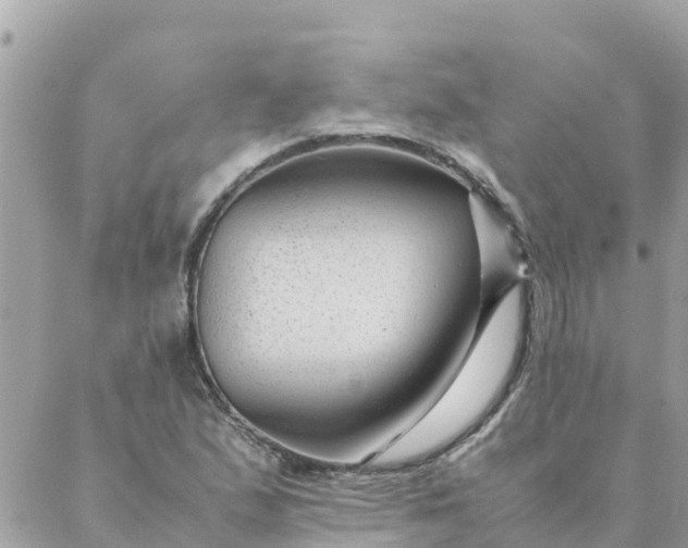 X0000087391167200705042003