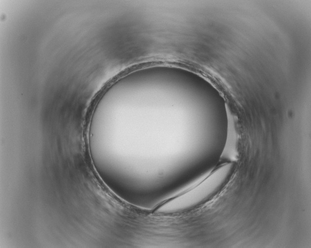 X0000087391168200705042003