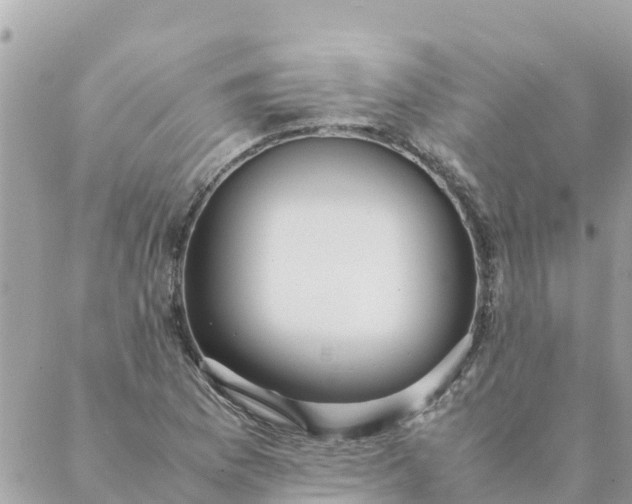 X0000087391169200705042003