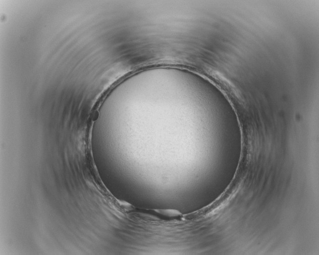 X0000087391170200705042003