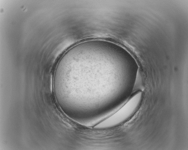 X0000087391171200705042003