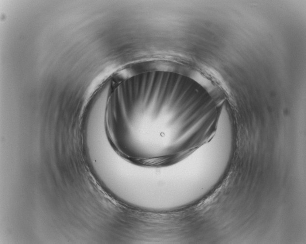 X0000087391172200705042003