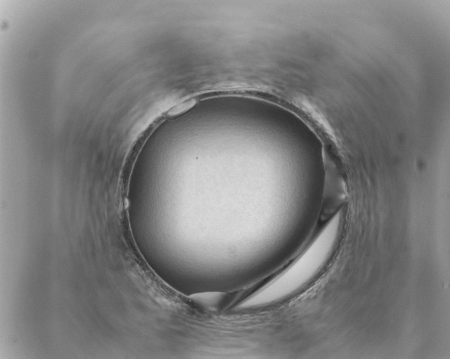 X0000087391173200705042003