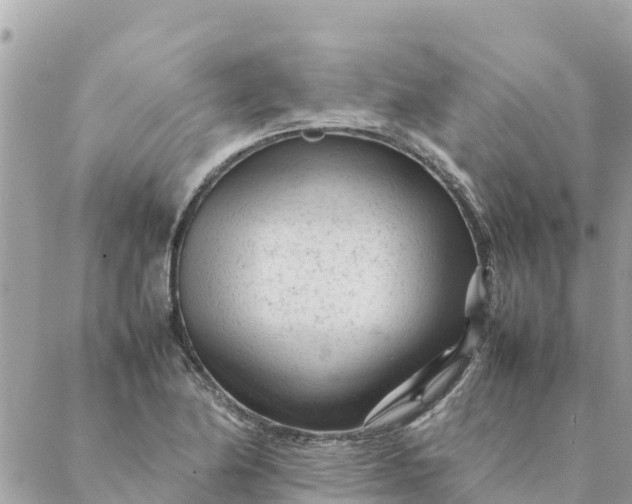 X0000087391174200705042003