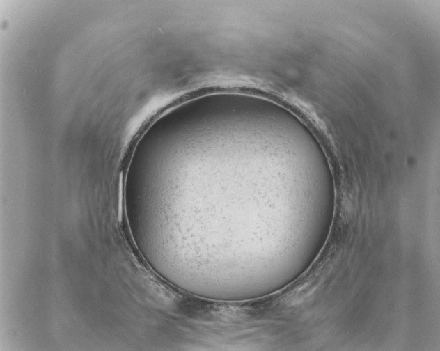 X0000087391175200705042003