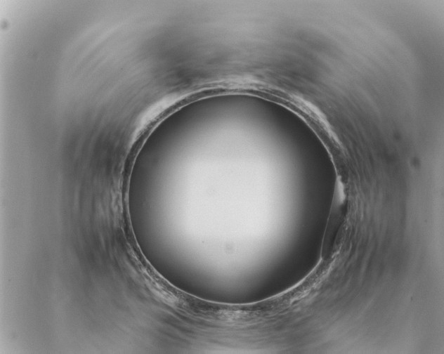 X0000087391176200705042003