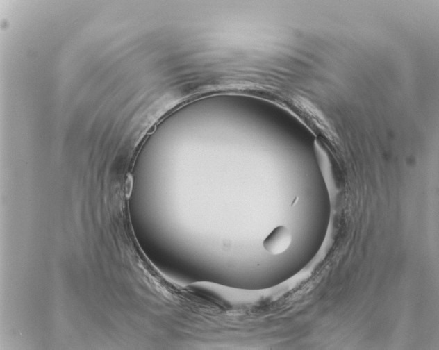 X0000087391177200705042003