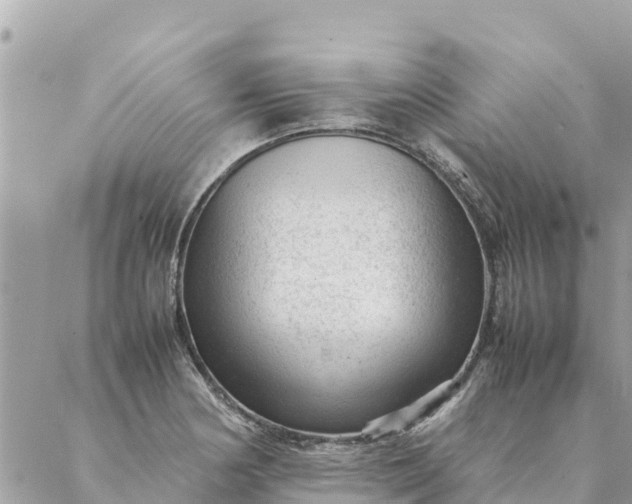 X0000087391178200705042003