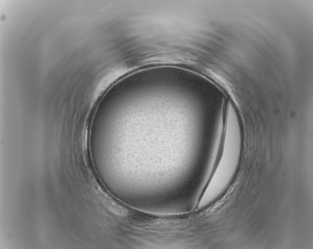 X0000087391179200705042003