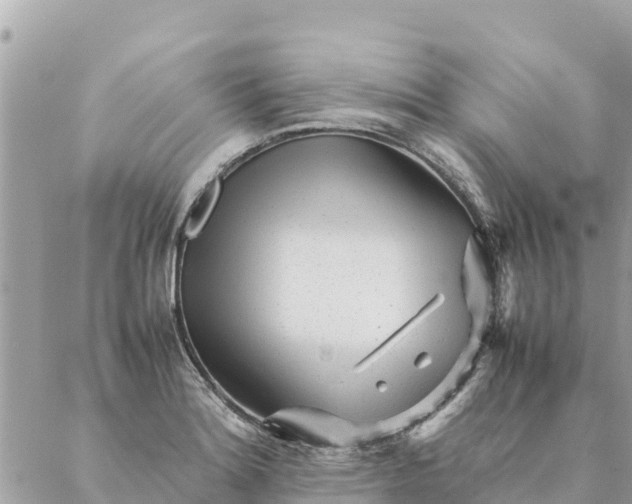 X0000087391180200705042003