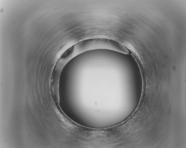 X0000087391181200705042003