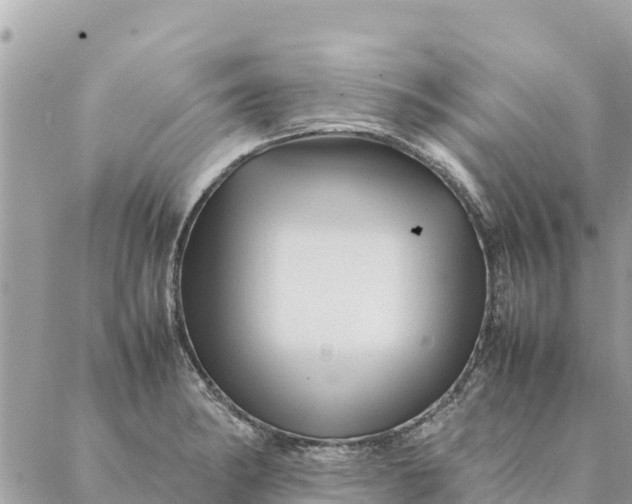 X0000087391182200705042003