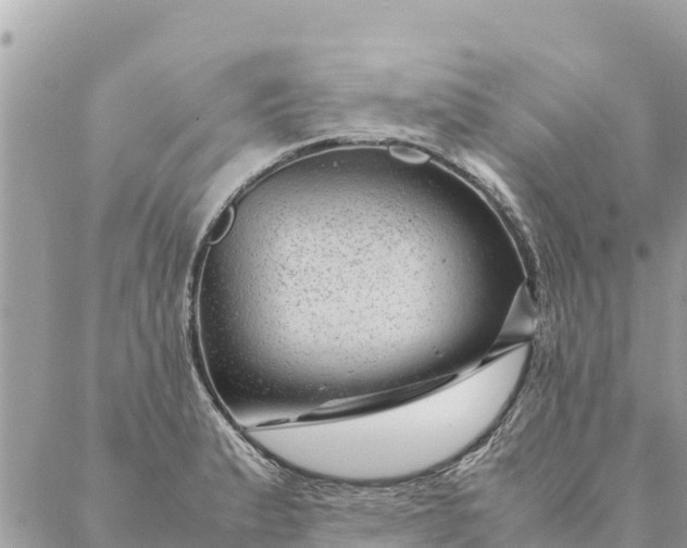 X0000087391183200705042003