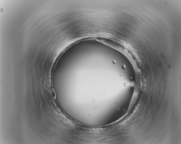 X0000087391184200705042003