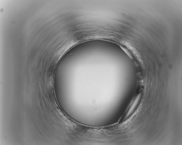 X0000087391185200705042003