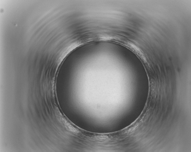 X0000087391186200705042003