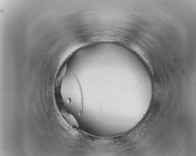 X0000087391187200705042003