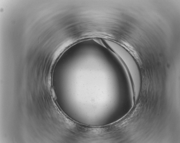 X0000087391188200705042003