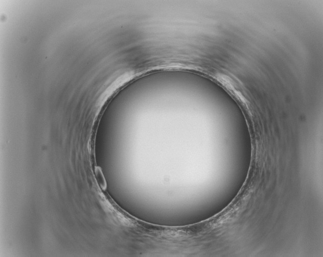 X0000087391189200705042003