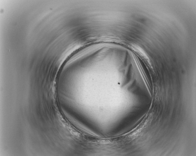 X0000087391190200705042003