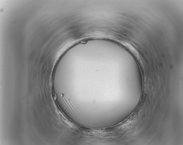 X0000087391191200705042003