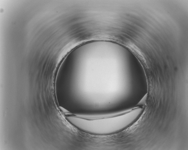 X0000087391192200705042002