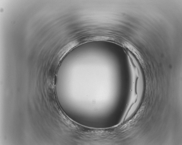 X0000087391193200705042002