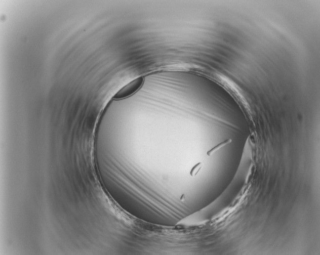 X0000087391194200705042002