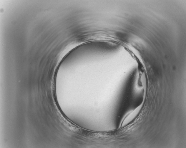 X0000087391195200705042002