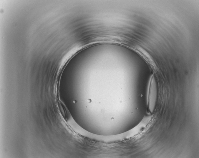 X0000087391196200705042002