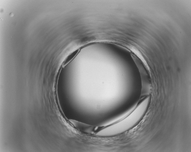 X0000087391197200705042002