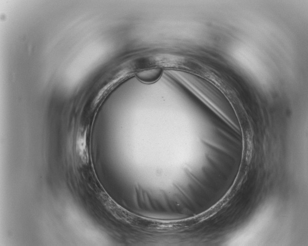 X0000087391198200705042002