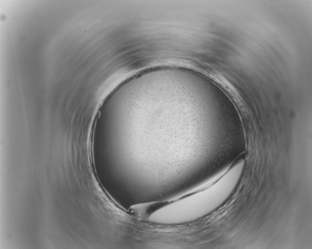 X0000087391199200705042002