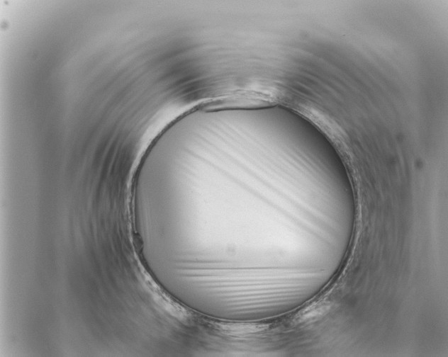 X0000087391200200705042002