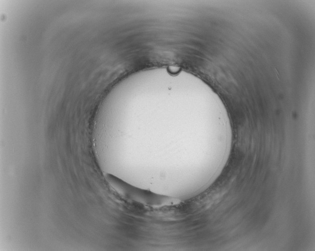 X0000087391201200705042002