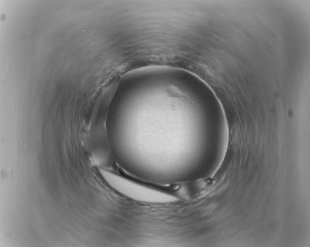 X0000087391202200705042002