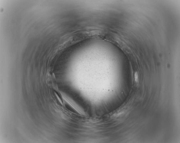 X0000087391203200705042002