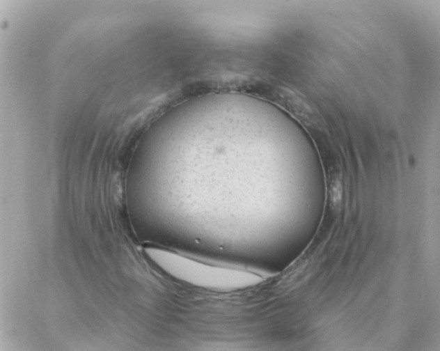 X0000087391204200705042002