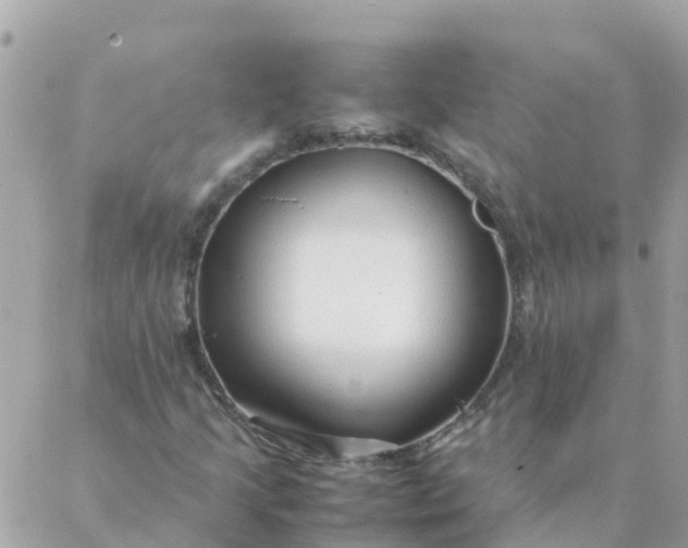 X0000087391205200705042002