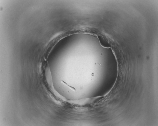 X0000087391206200705042002