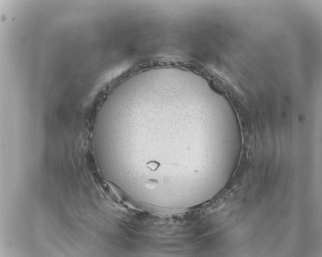 X0000087391207200705042002