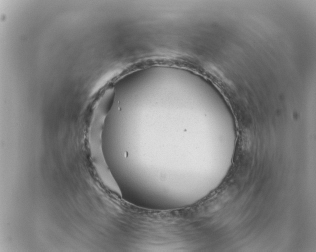 X0000087391208200705042002