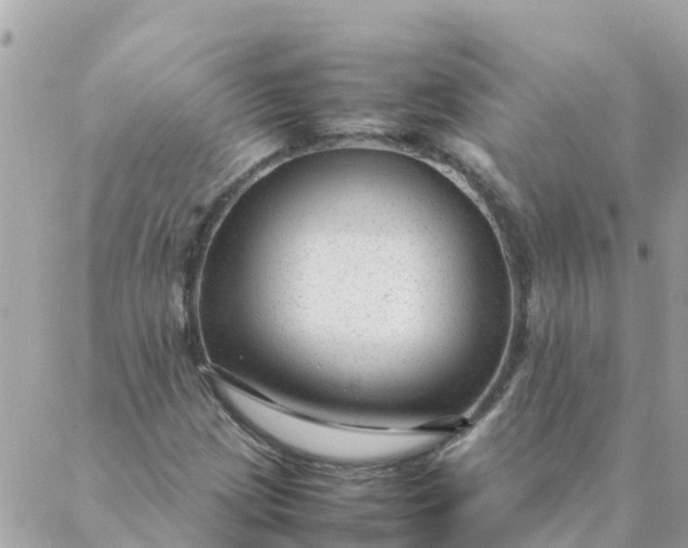 X0000087391209200705042002