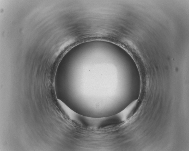 X0000087391210200705042002