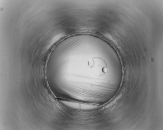 X0000087391211200705042002