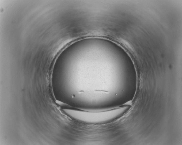 X0000087391212200705042002