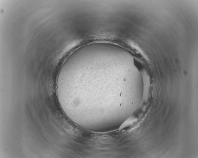 X0000087391213200705042002