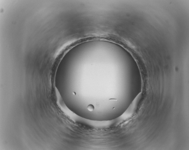 X0000087391214200705042002